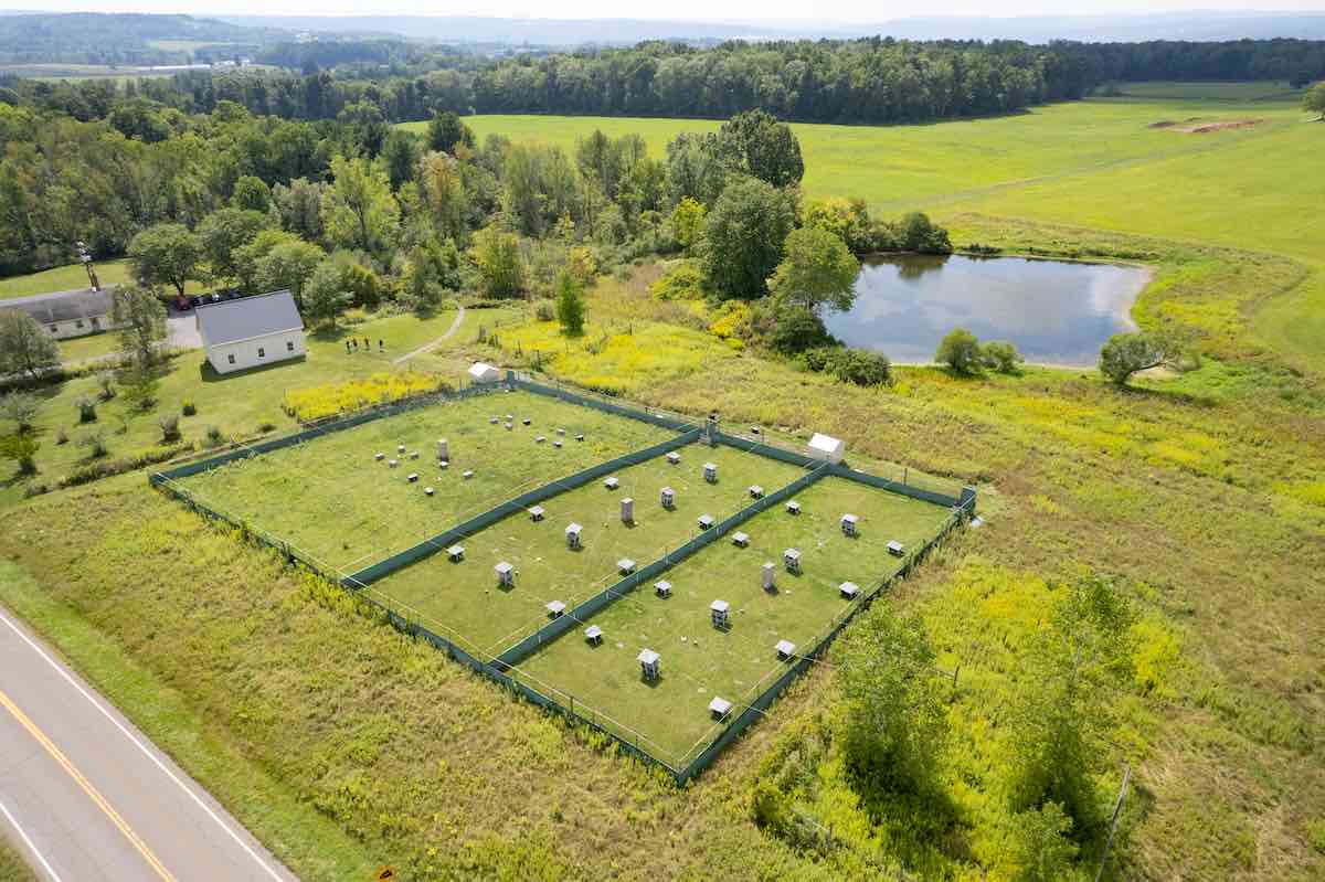 Matthew zipple drone 0330