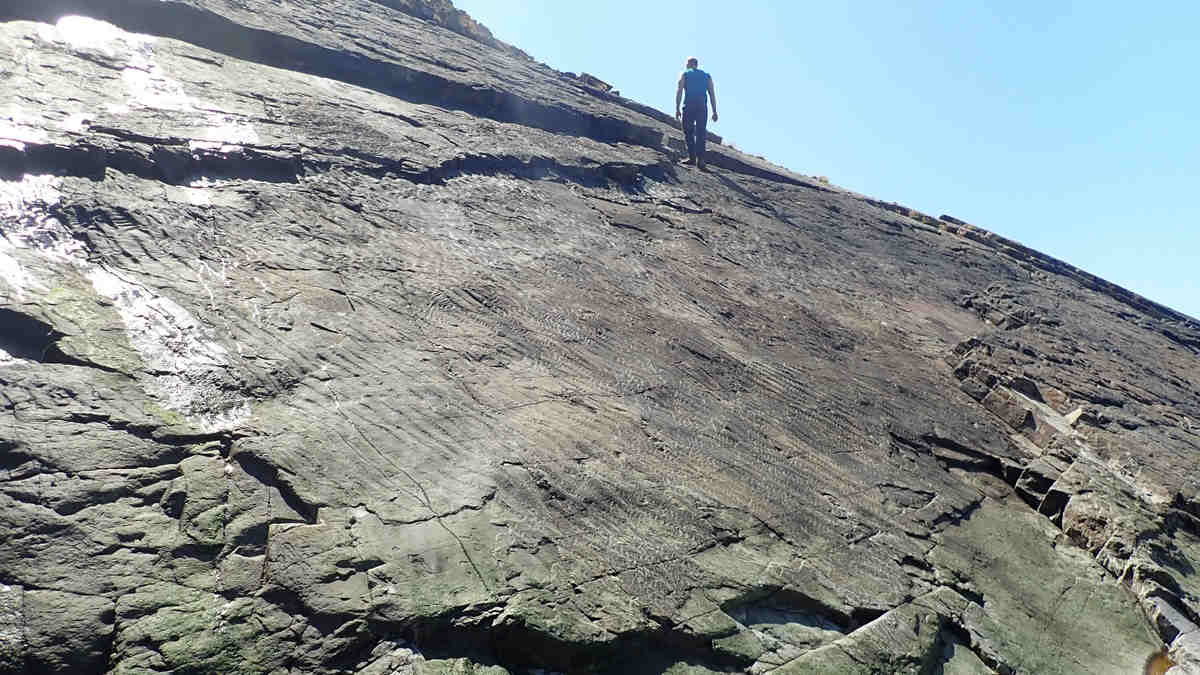 Slanted fossil bed on cliff with man walking on it