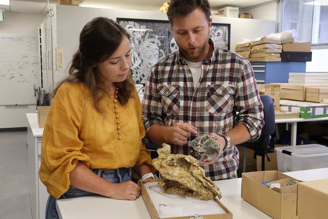Two palaeontologists looking at fossil skull of ancient bird