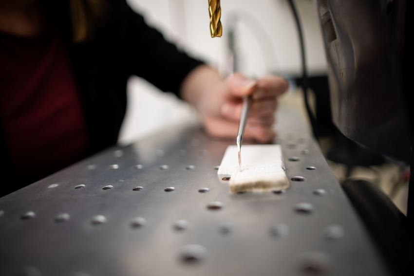 Hand analysing coral piece in lab