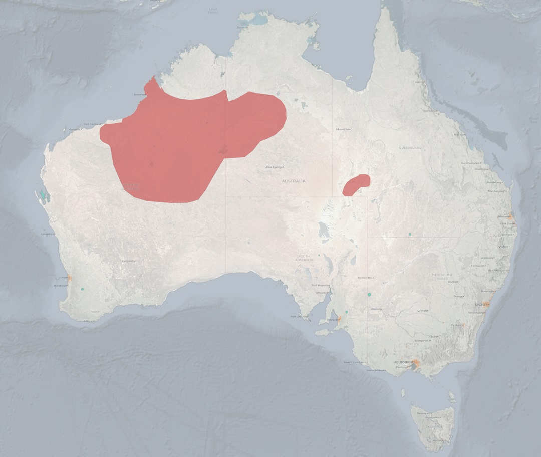 Map of australia bilby distribution in red