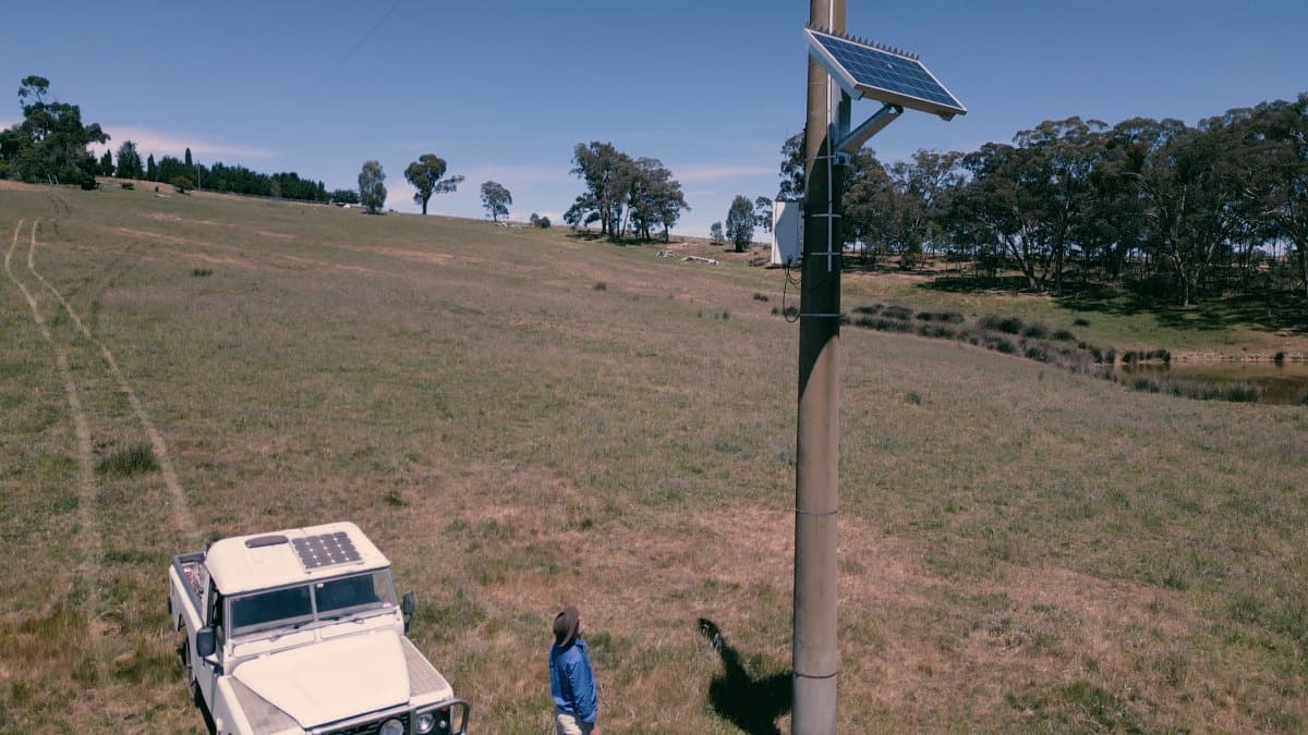 A man looks up at a power pole on a rural property