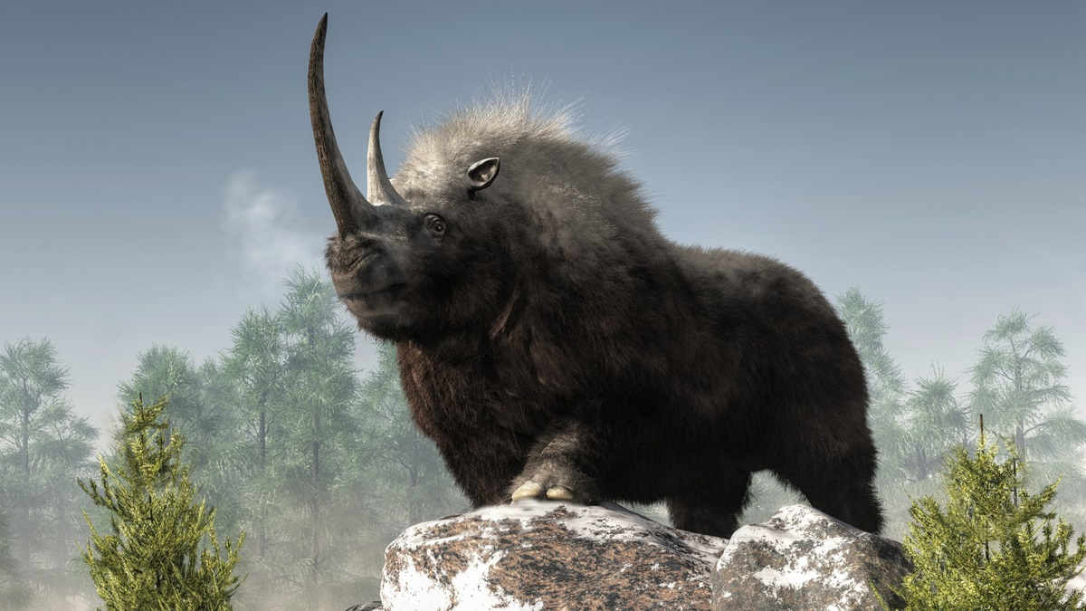 A woolly rhino stands atop some snow covered rocks in a wintry ice age scene