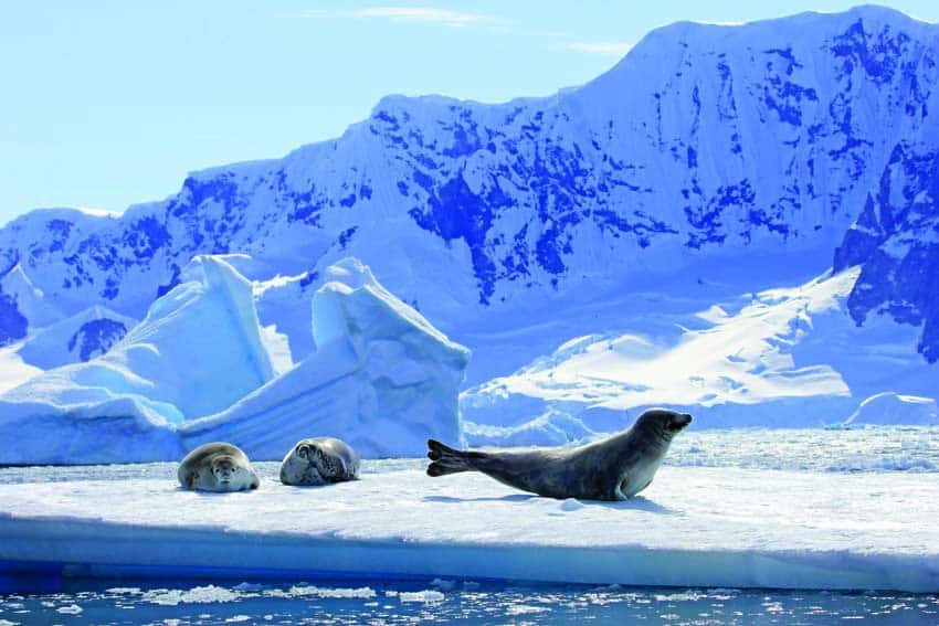 Gettyimages 825549950