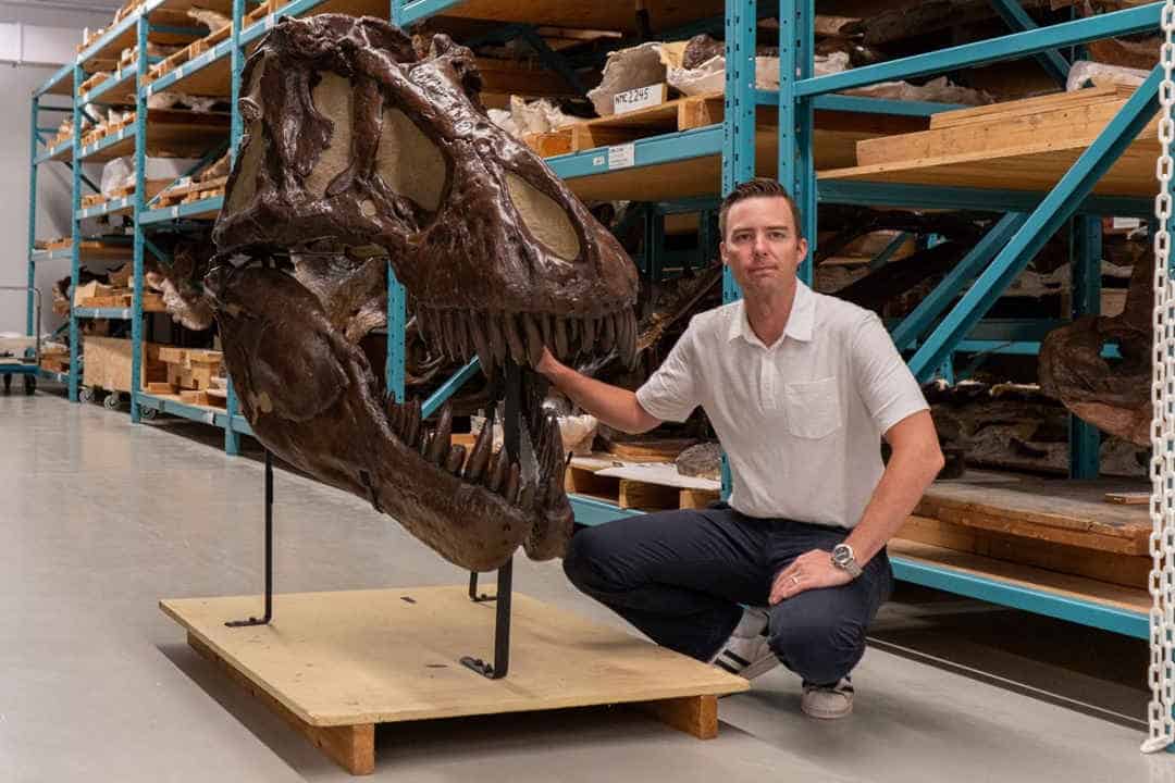 T rex skull with palaeontologist jordan mallon