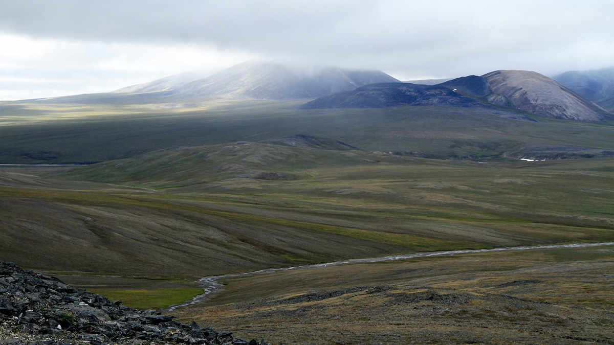 Tundra island landscape