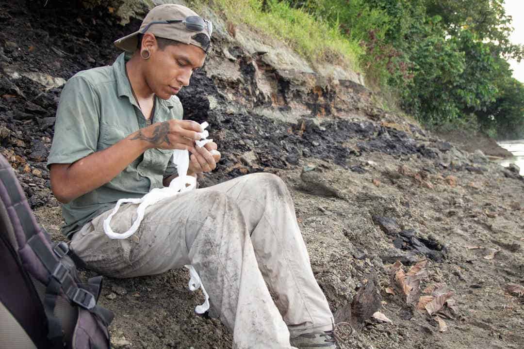 Palaeontologist sitting on ground at site with fossils
