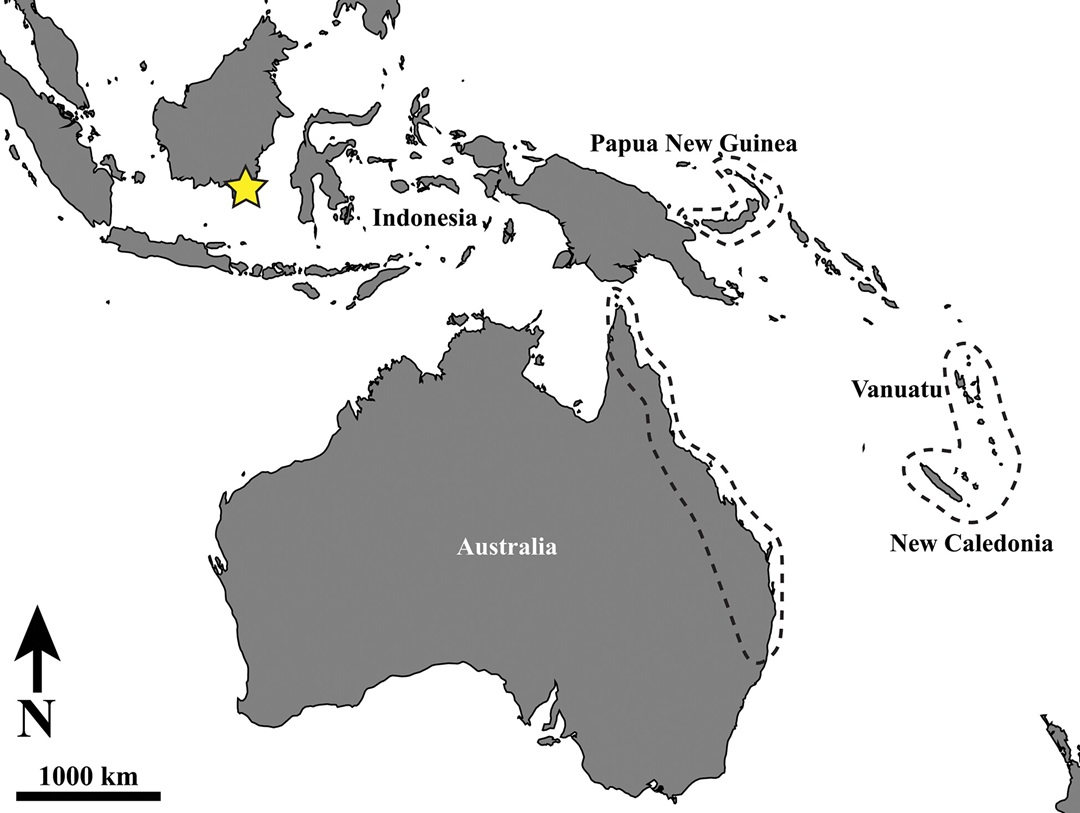 Map of australia and southeast asia with yellow star on borneo