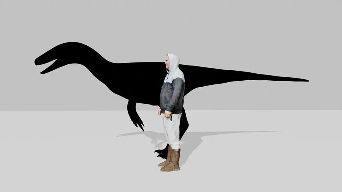 Size comparison human raptor