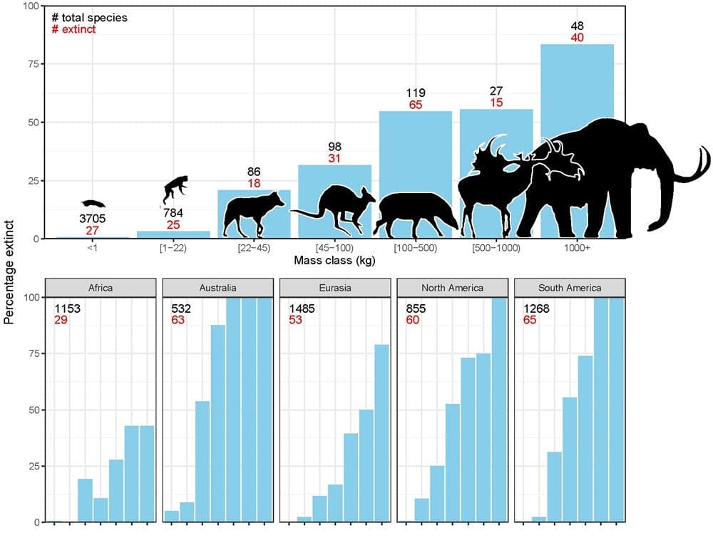 Graphic showing increasing animal size and the level of extinction