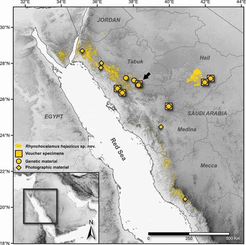 Map of red sea with yellow markings