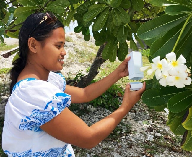 2018 kiribati wmp staff release the first mosquitoes in betio wmp photography 1