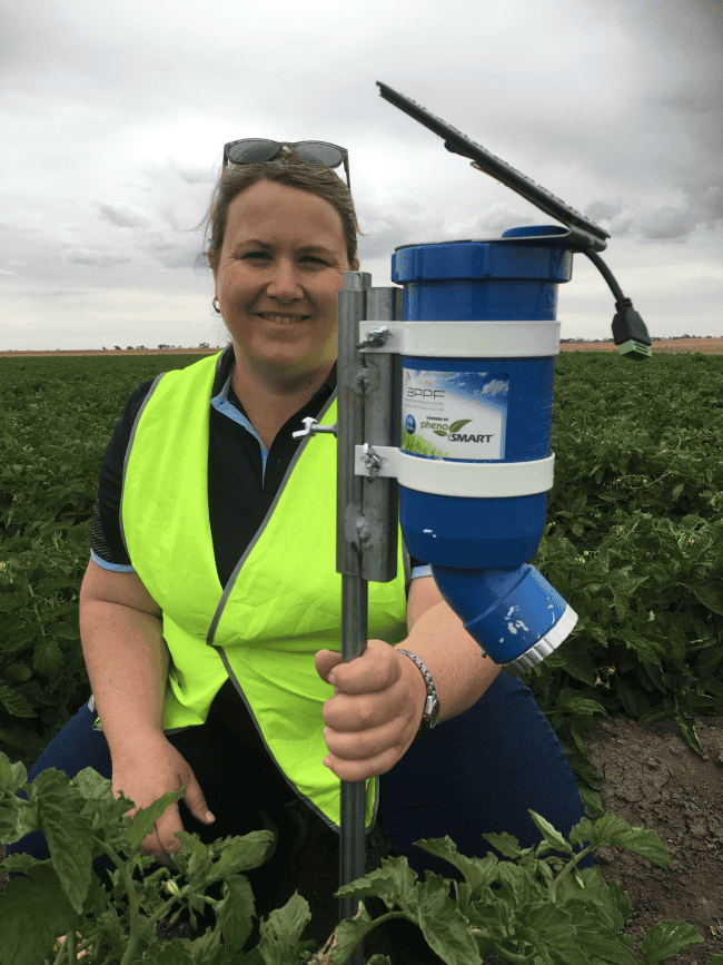 Csiros dr rose brodrick with an early prototype waterwise sensor in tomatoes. Jpg