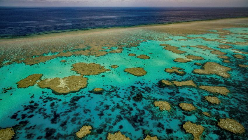 Overhead photograph of a coral reef surrounded by aqua and dark blue ocean