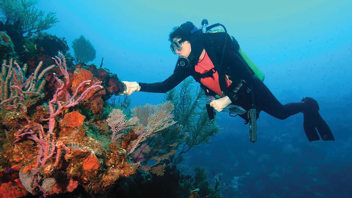 20220519 114627 marine science trailblazer 2