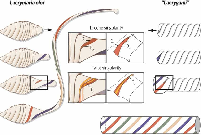 Science. Adk5511 fa 850
