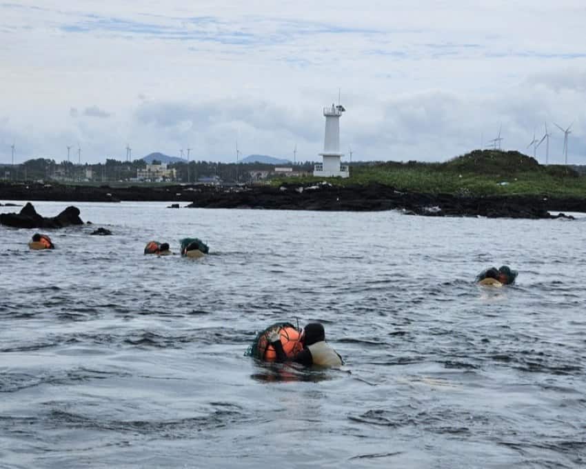 Women in wetsuits float at the surface of cold grey sea water