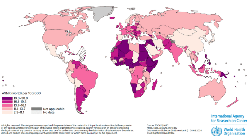 Estimated age standardised rates of mortality for female breast cancer per 100000 in 2022 for 185 countries 10. 1038s41591 025 03502 3 copyright 2025 iarcw 850