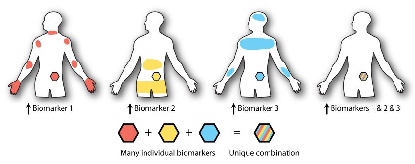 Figure 1. Credit deforest et al. Nature chemical biology 850