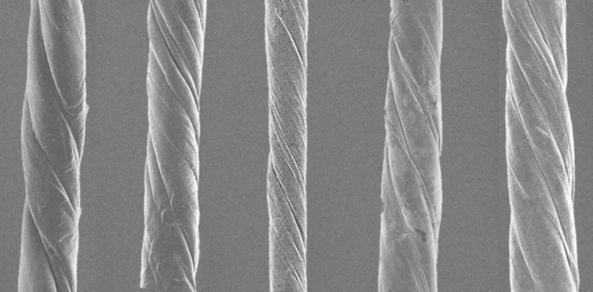 A grey-scale photograph of rope-like material coiled up