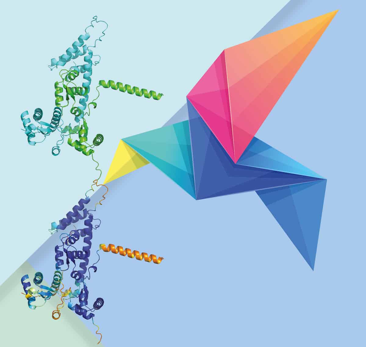An origami bird holding two protein models in its beak of scpa and scpb.