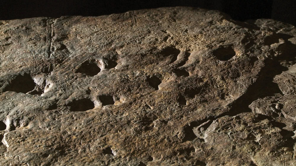 Genoa trackway fossilised slab of mud featuring two sets of footprints with individual fingers and toes and sweep marks from the tetrapods belly photographer peter nearhos source museums victoria 1