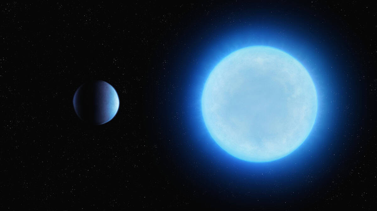 Rocky exoplanet orbiting a dwarf star in space