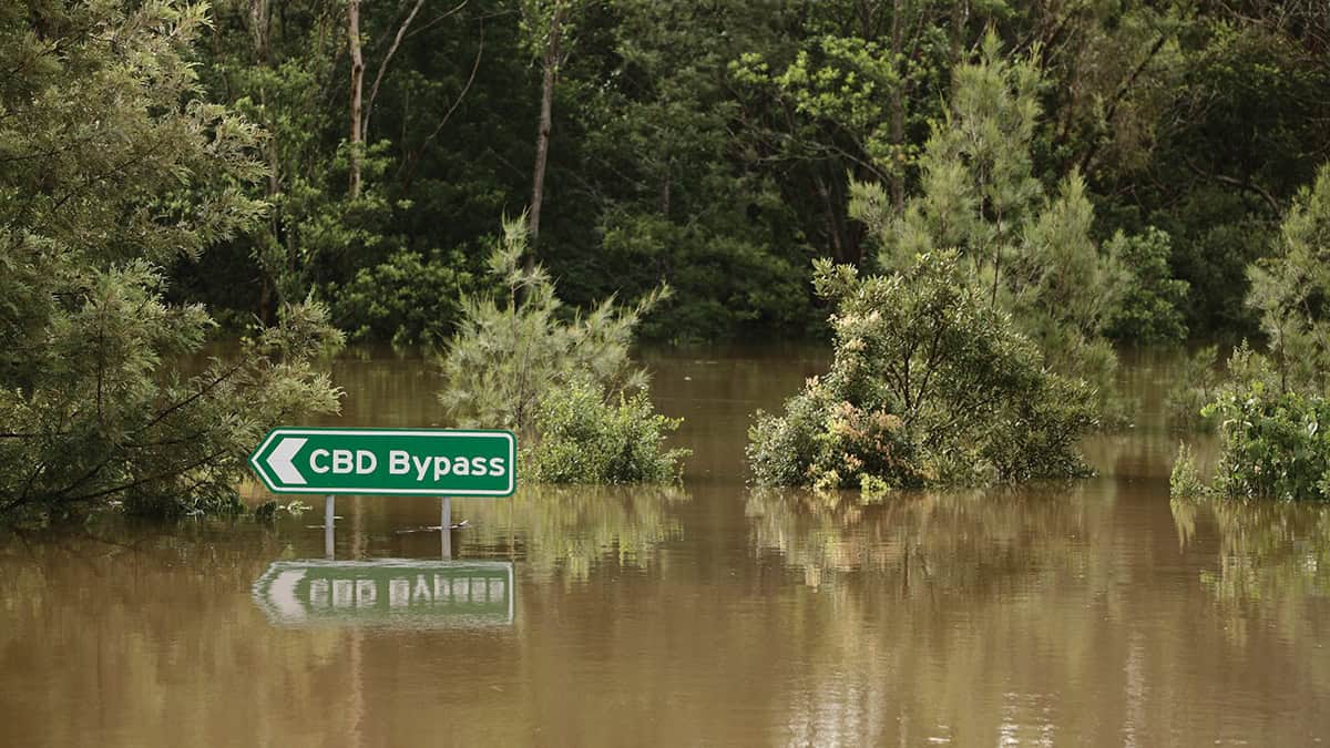 Gettyimages 172708261