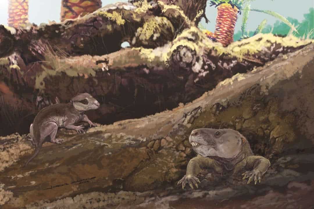 Illustration of two ancient mammal predecessors