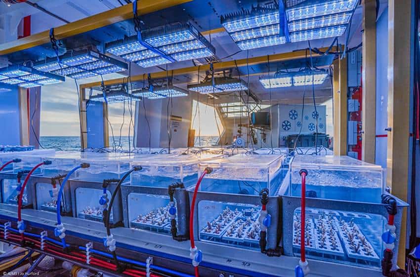 A boat filled with experimental tanks holding coral.