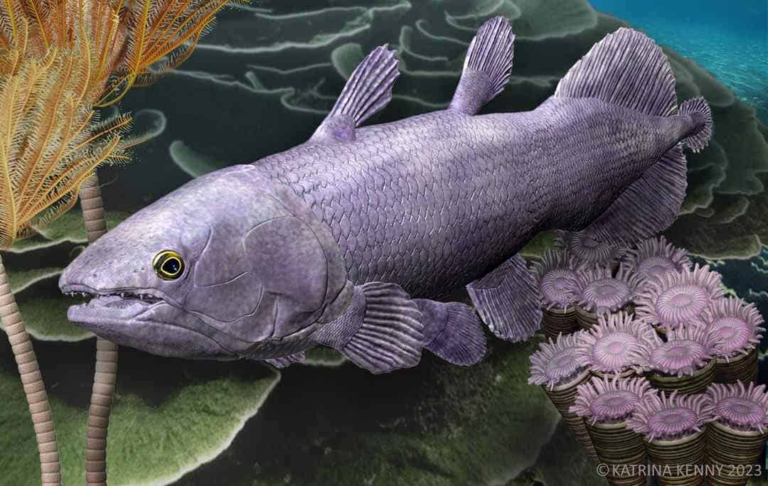 Coelacanth fish from devonian illustration