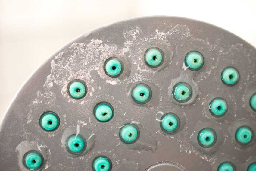 A close-up photograph of a showerhead showing a portion of the grey head with green plastic holes.