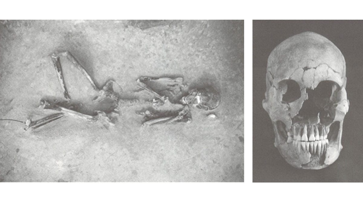 Greyscale photos of ancient skeleton and skull