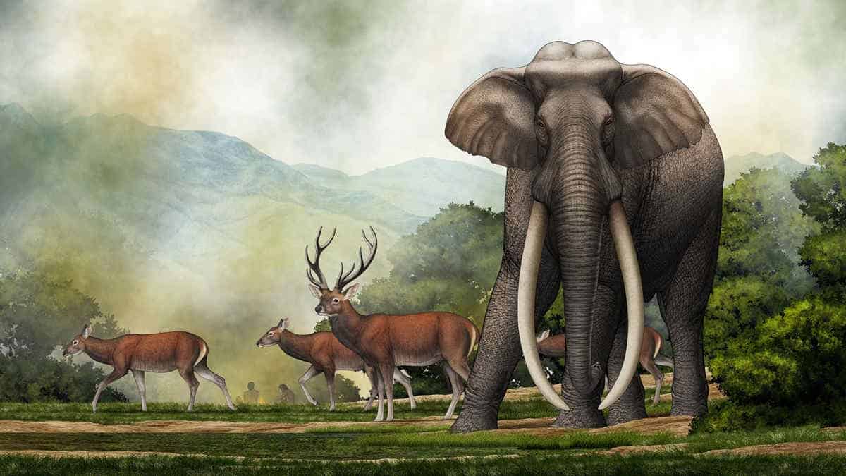 Illustration of large elephant with deer in background