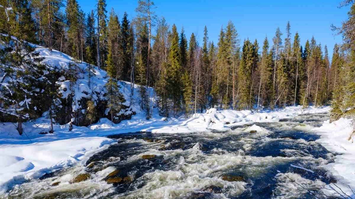 River in snowy forest under blue sky