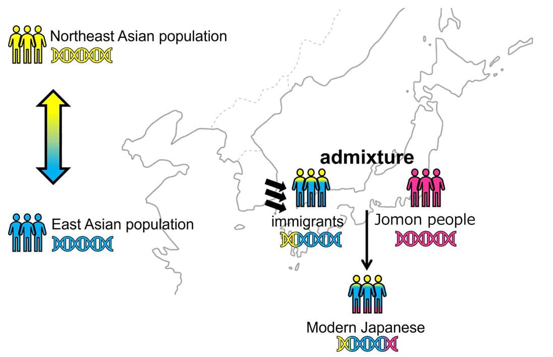 Map of japan with populations and dna