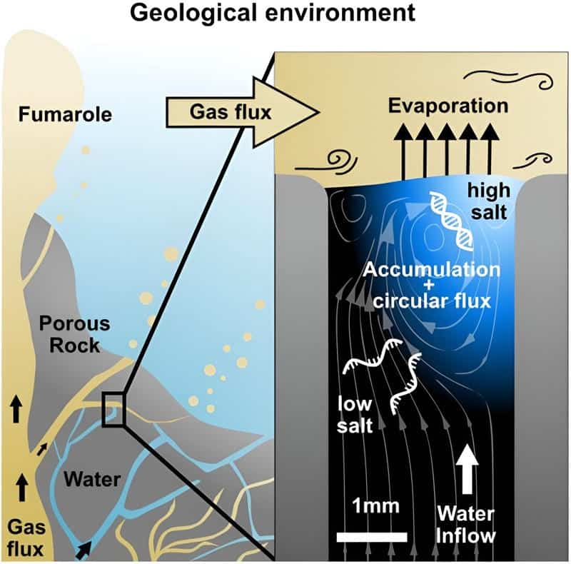 Diagram showing gas flow water porous rock nucleic acid