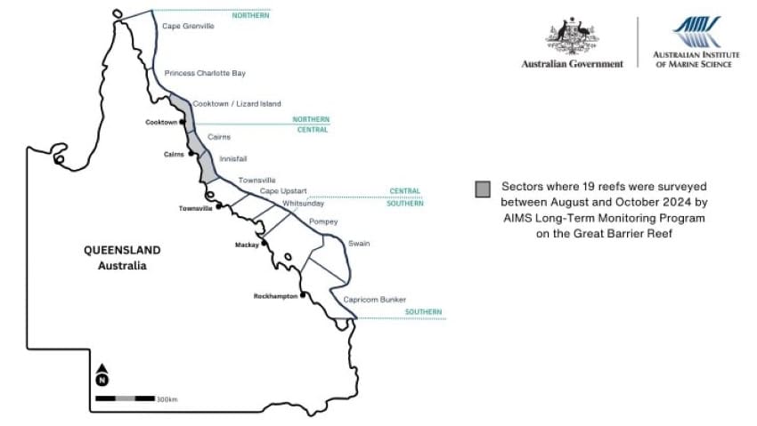 Ltmp sectors and regions
