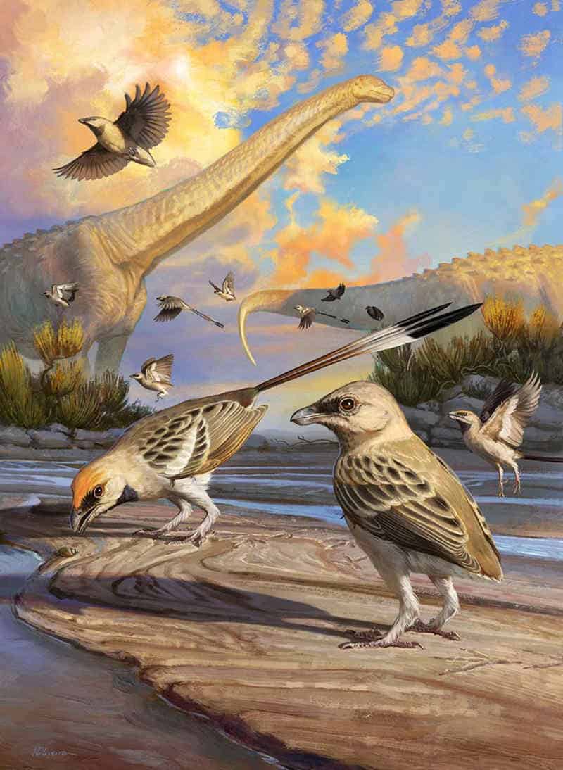 Illustration of ancient birds with dinosaurs in background