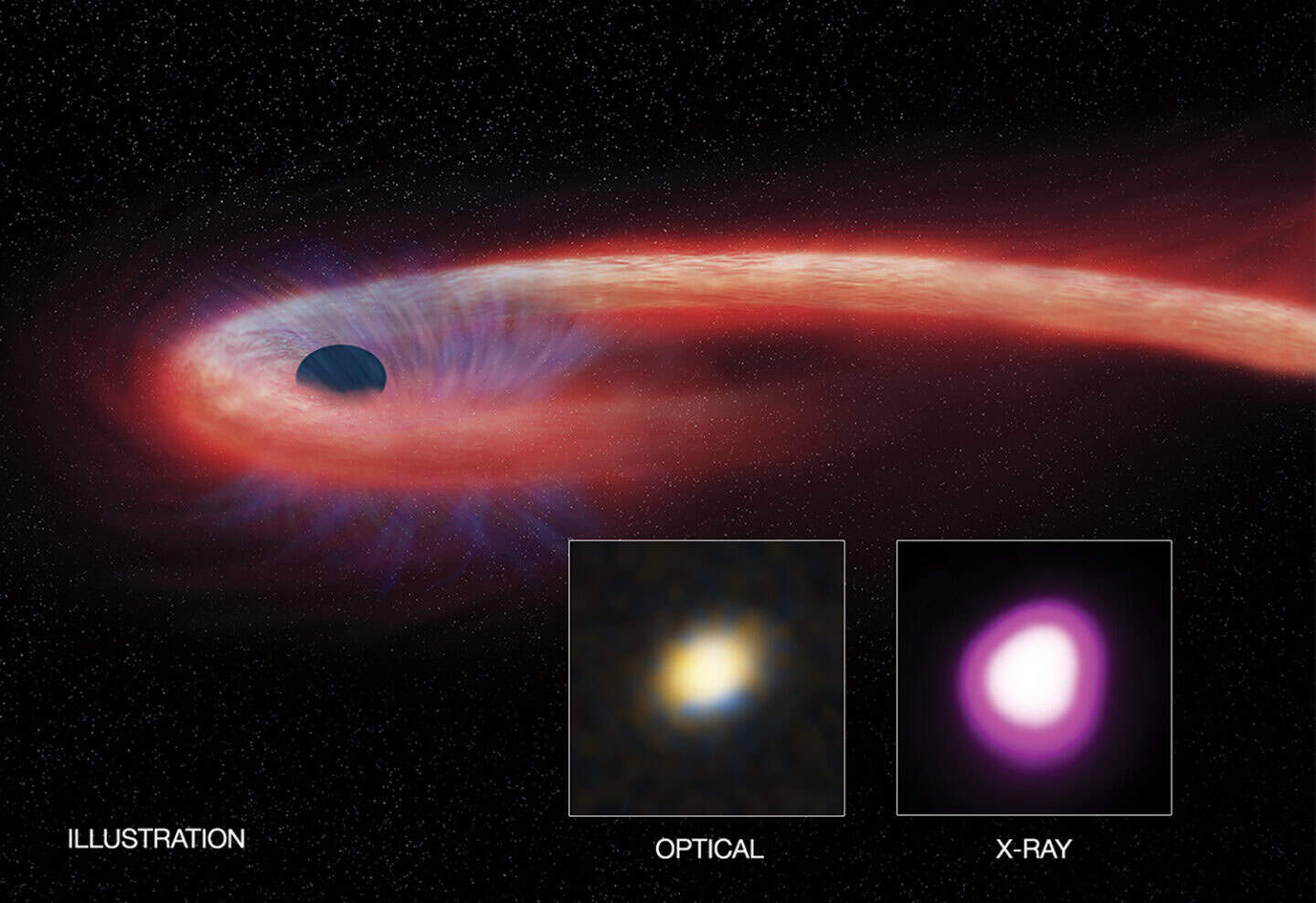 Black hole with yellowish optical imaging and purpleish x-ray imaging.