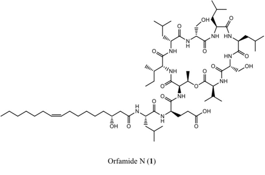 A black and white illustration of the structure of a large molecule
