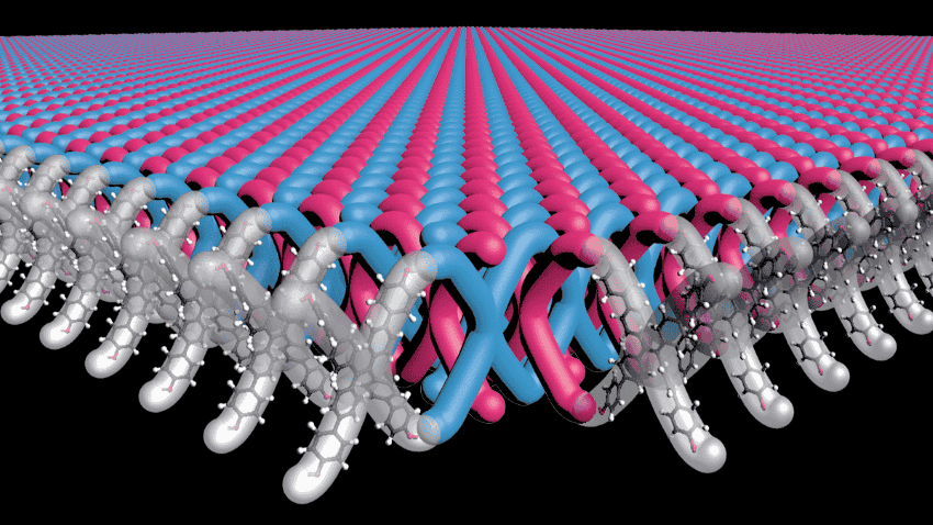 A computer illustration showing how repeating x-shaped subunits interlink into a chainmail-like sheet.