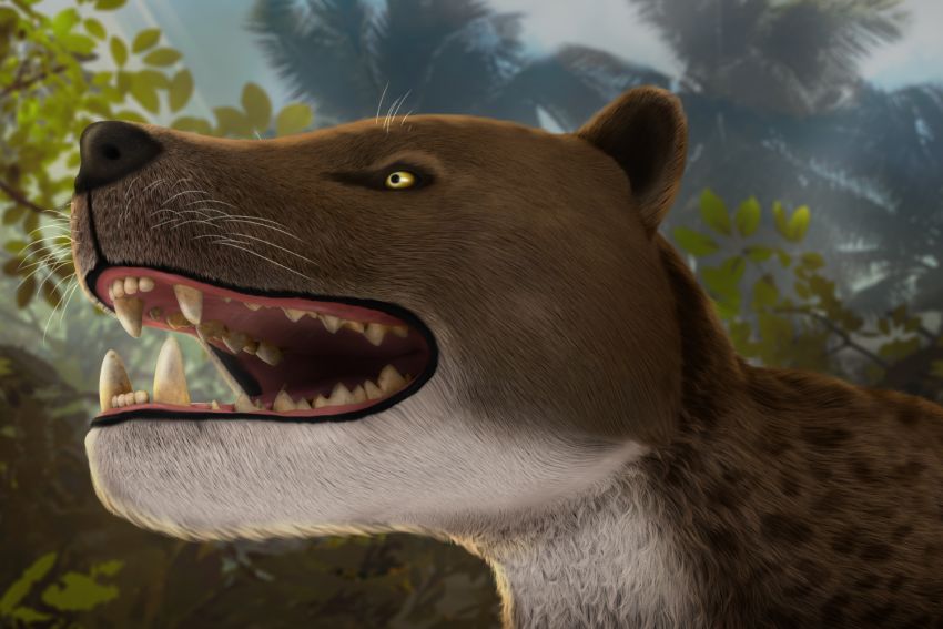 A reconstruction of the bastetodon. It looks like a cat- or dog-like predator