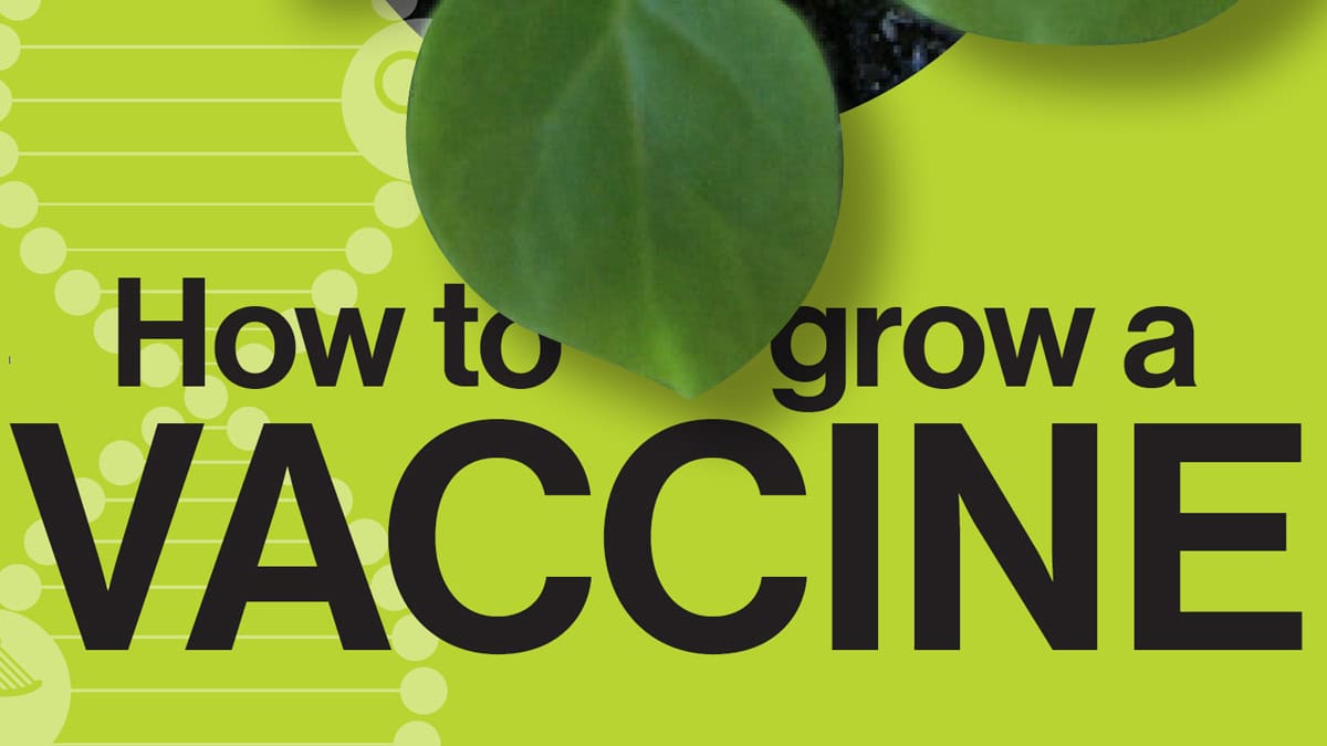 How to grow a vaccine text on banner.