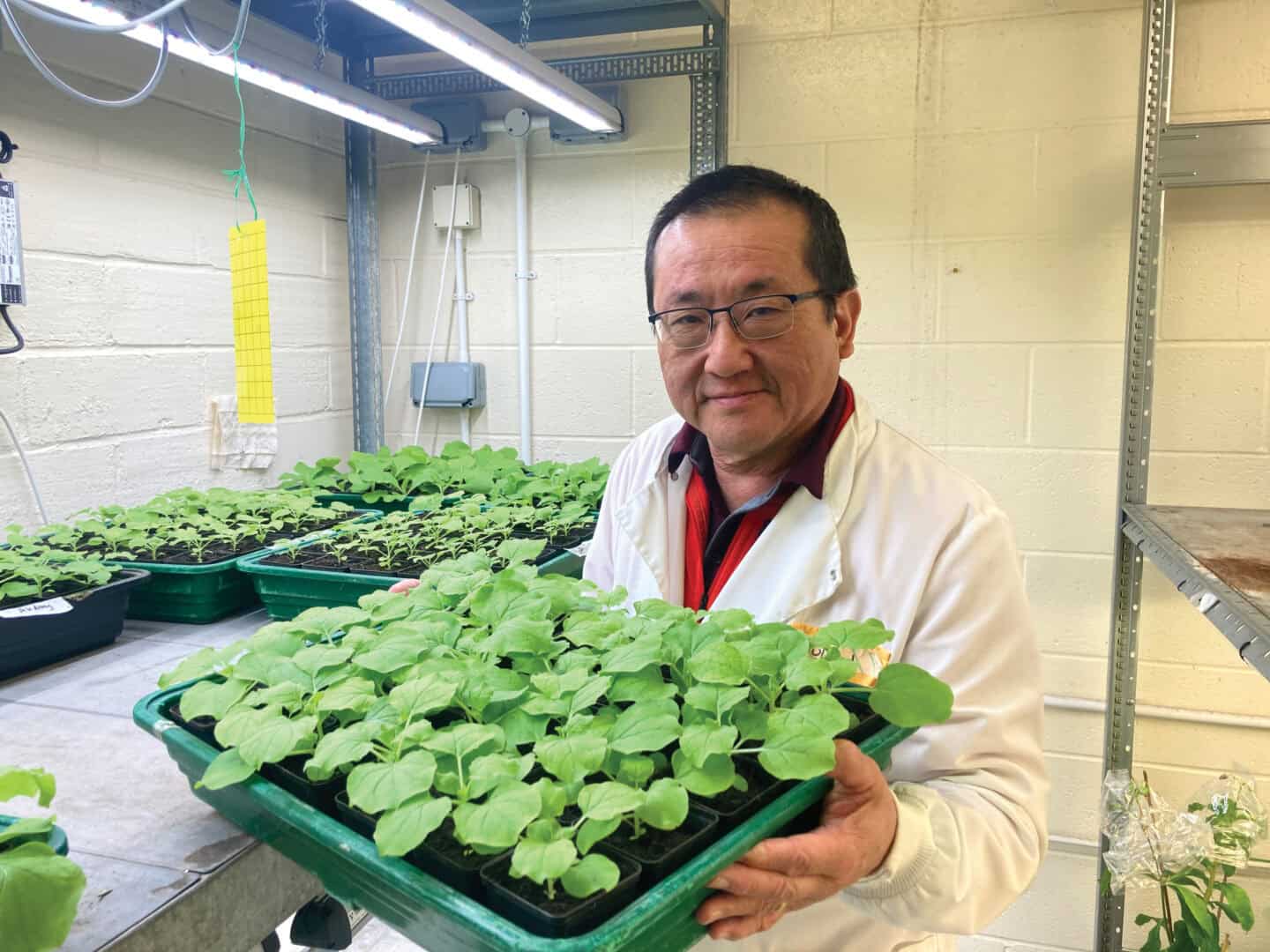 Man holding tray of plants.