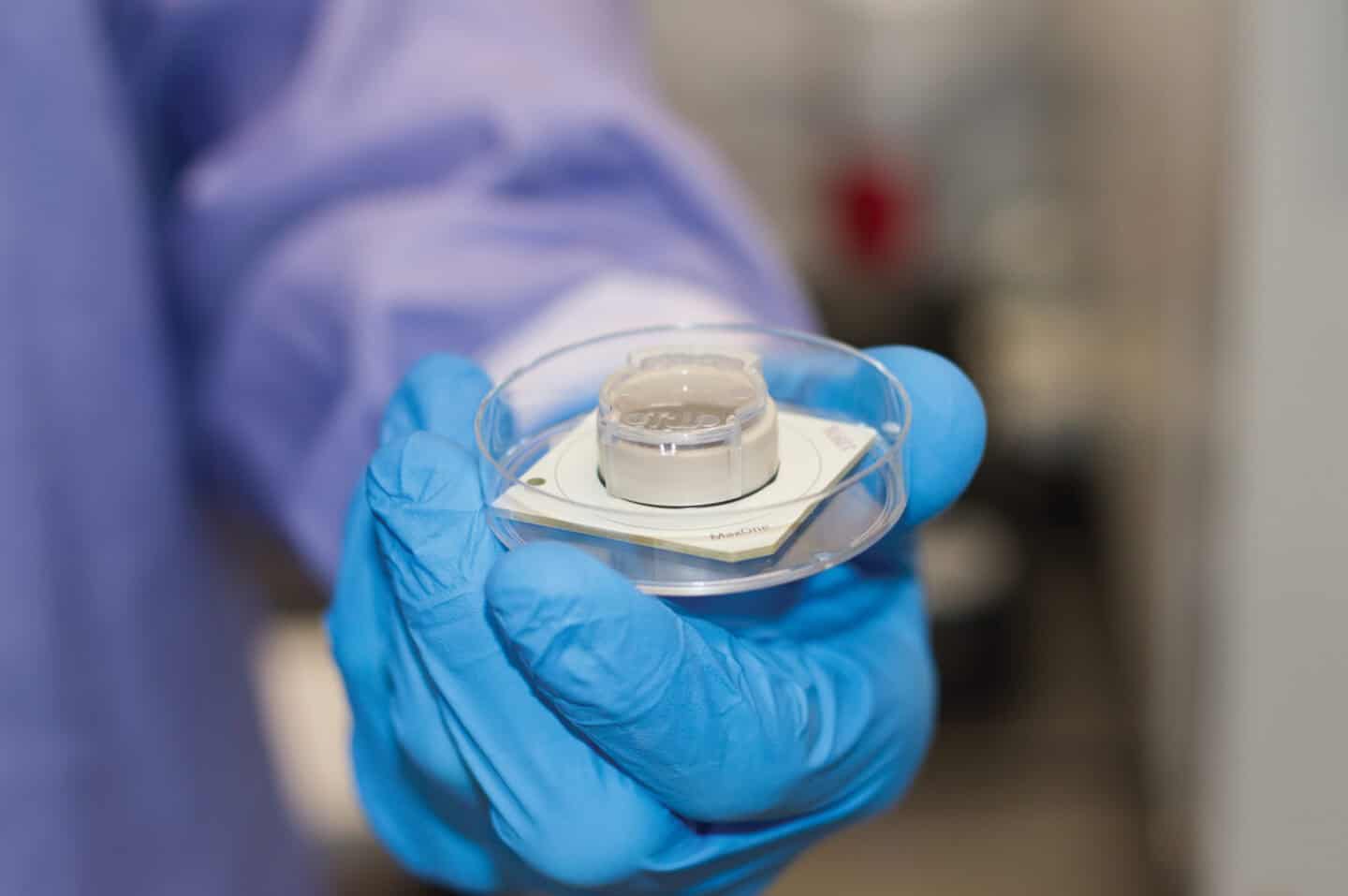 Microsoftteams imagechip 1