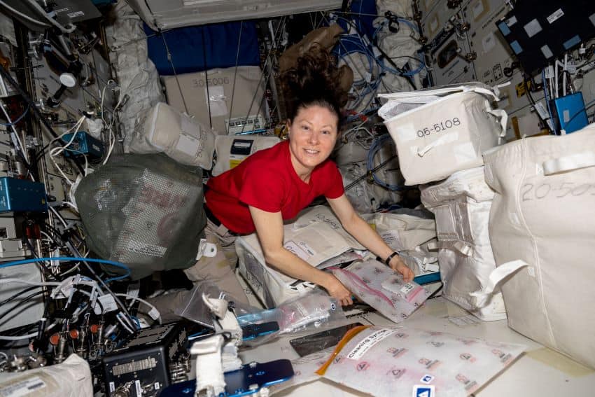 A female astronaut wearing a red t-shirt is unpacking a package on the iss, her hair is floating above her