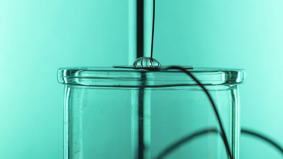 Close up of water droplet on green background