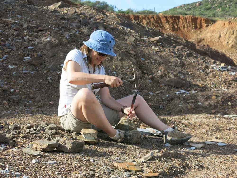 Palaeontologist hammer chisel rock fossil blue bucket hat