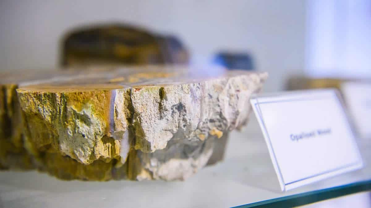 Rock on a shelf with name tag